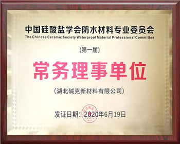 中國矽（guī）酸鹽學會常務理事單位